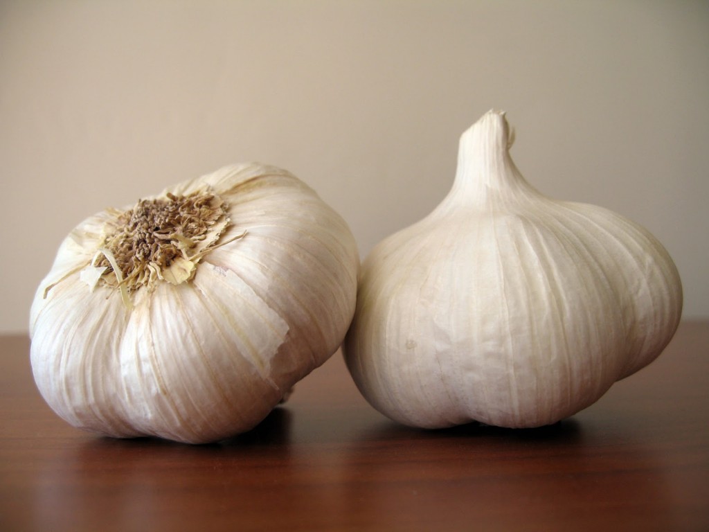 garlic2