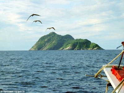 Ilha de Queimada Grande