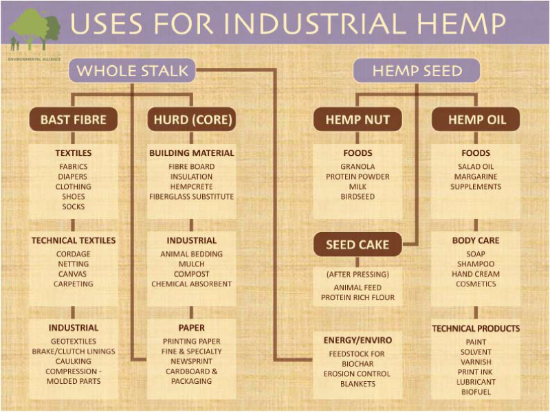The characteristics and uses of the hemp plant in the united states