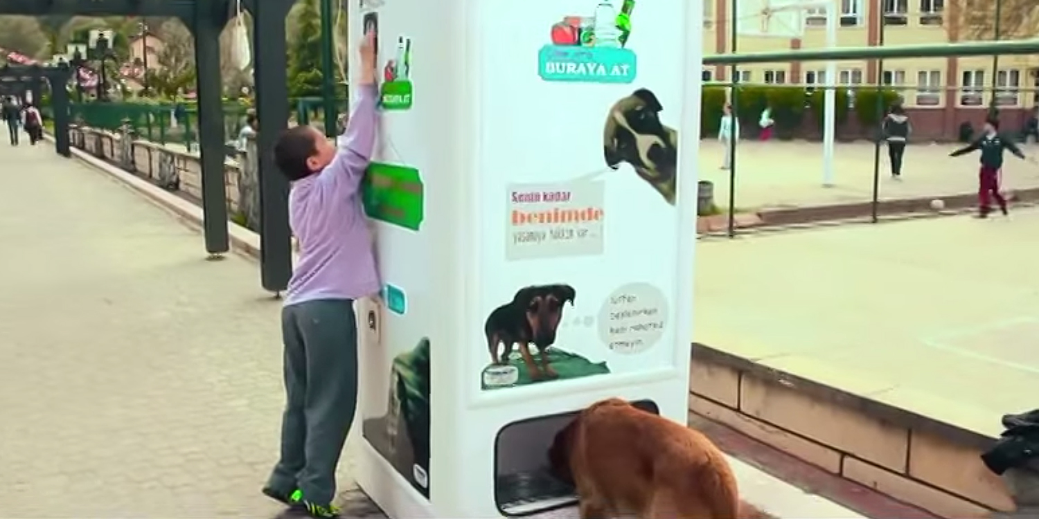 stray-dog-food-vending-machine-recycling-pugedon-fb
