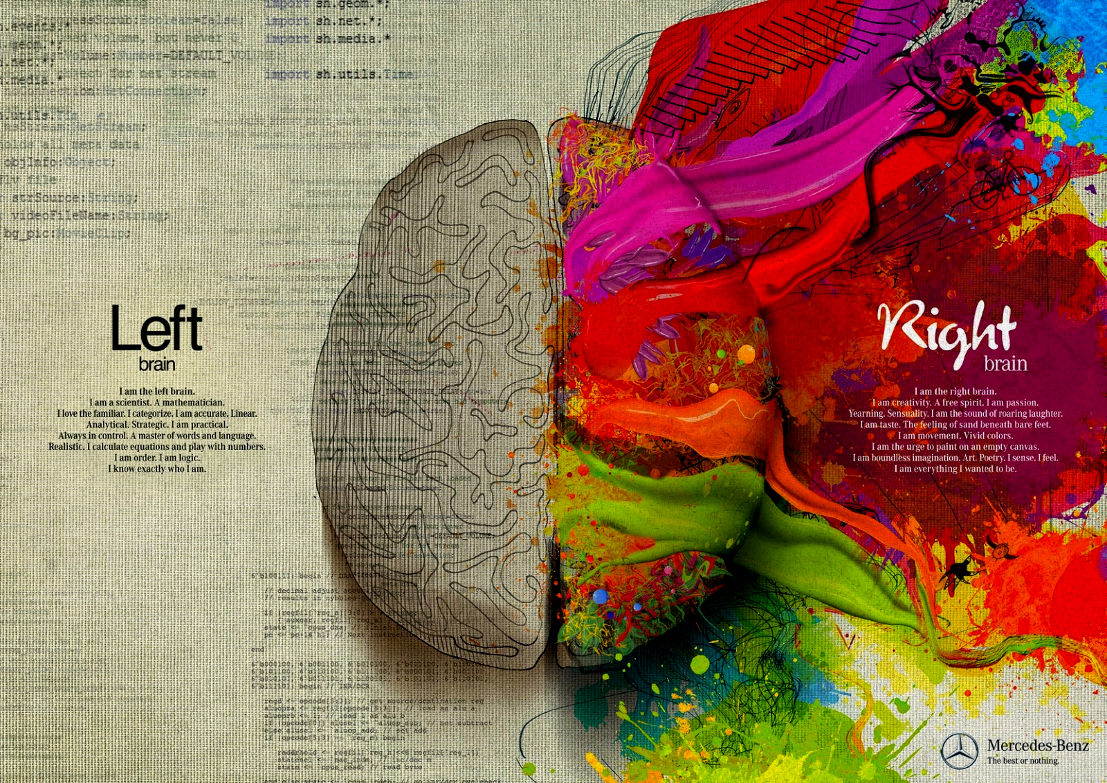 Left_brain_right_brain