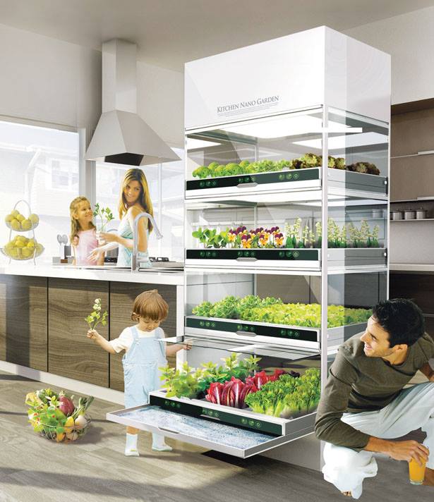 what-if-you-could-grow-fresh-organic-veggies-herbs-right-in-your-kitchen-you-can 1