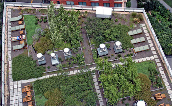 France Declares All New Rooftops Must Be Topped With Plants Or Solar Panels