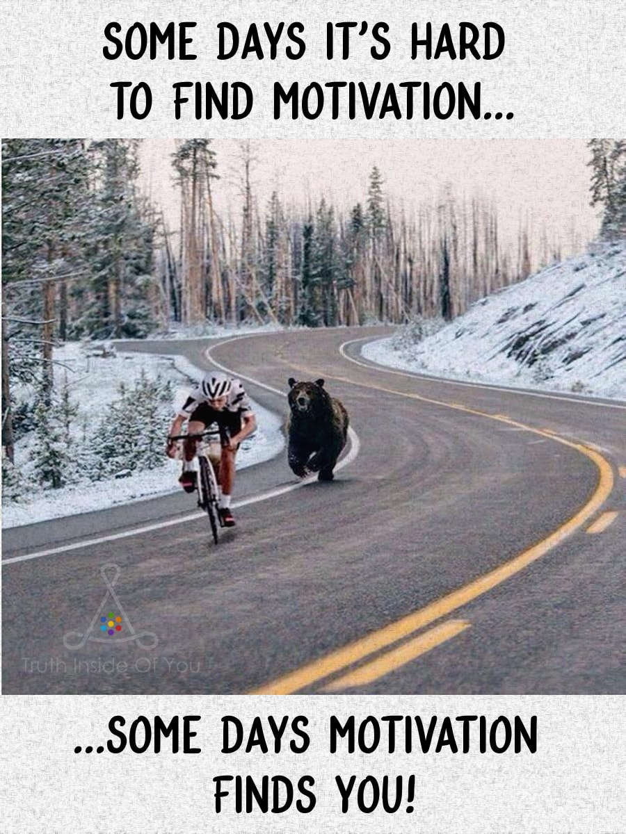 Some days it's hard to find motivation... ...some days motivation finds you!
