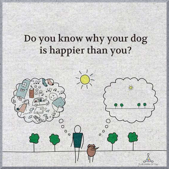 Do you know why your dog is happier than you?