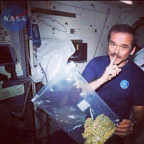 weed in space