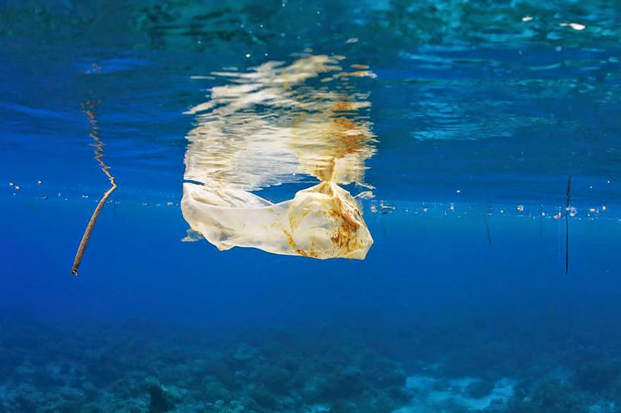 Plastic Bag Floating In The Sea