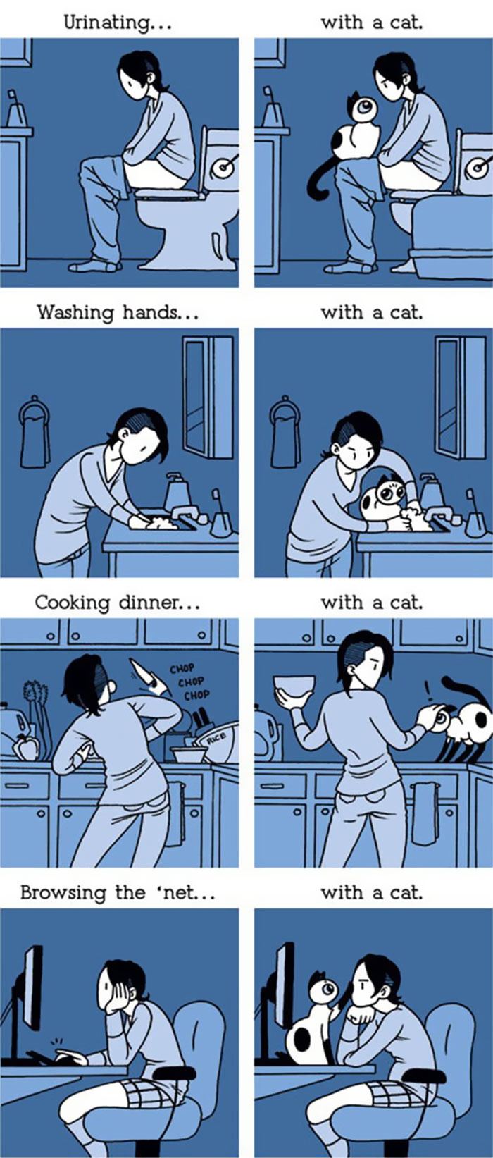 Owning A Cat