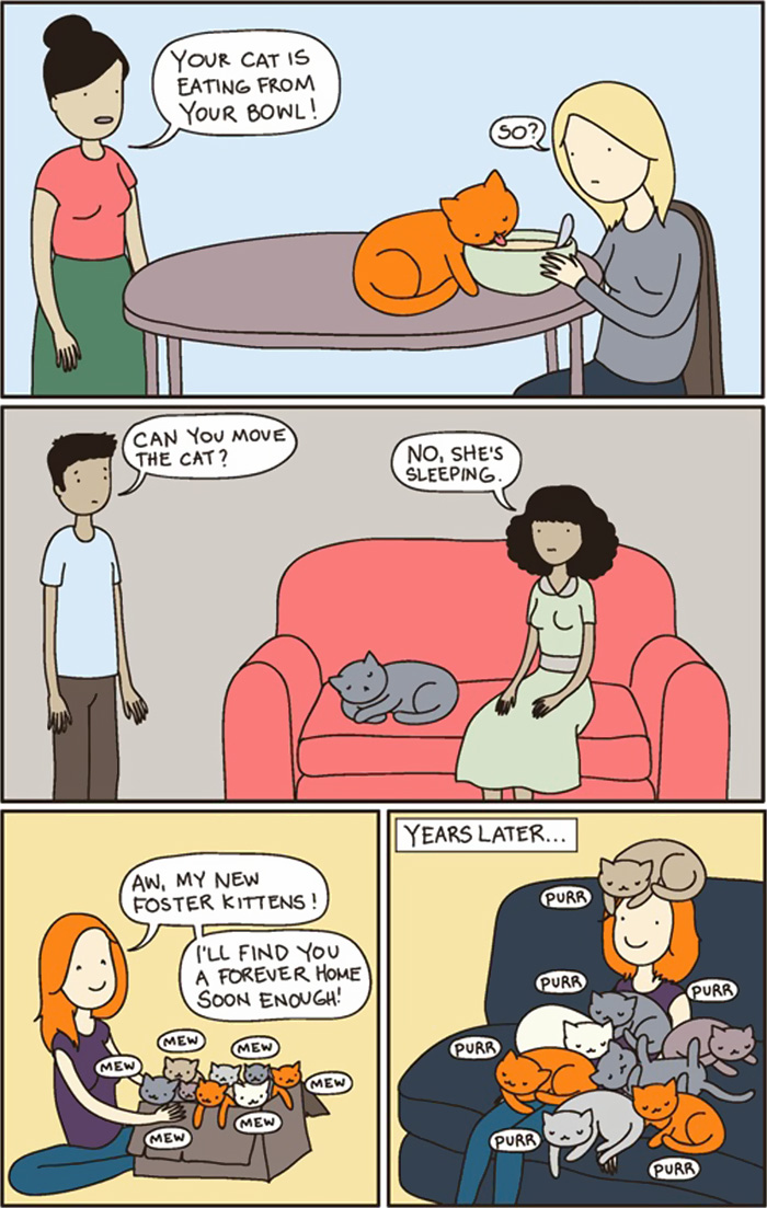 Owning A Cat