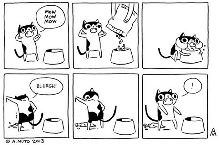 Owning A Cat