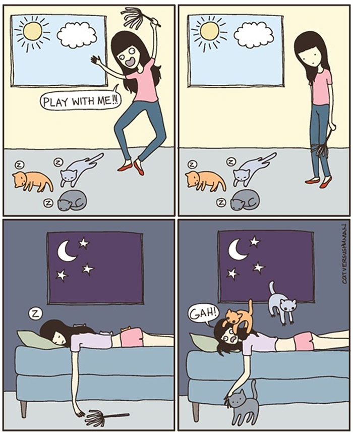 Owning A Cat