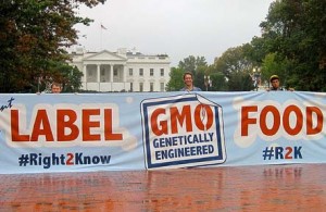 GMO Labeling