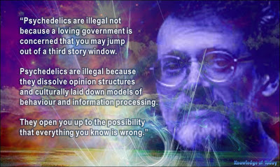 Psychedelics are illegal not because a loving government is concerned that you may jump out of a third story window. -Terence McKenna