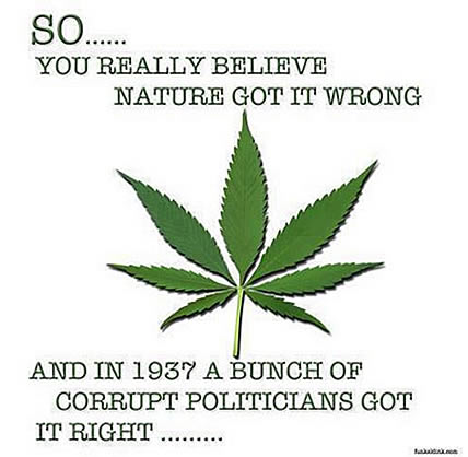 marijuana benefits