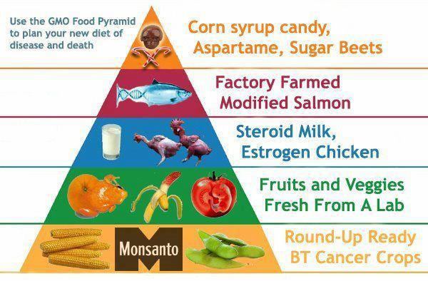 Codex Alimentarius. The Population Reduction Plan.