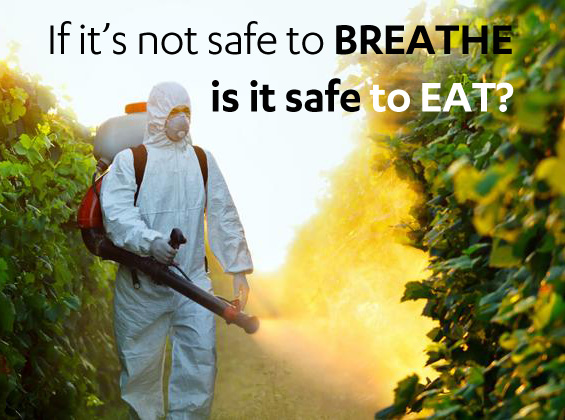 If-its-not-safe-to-breathe-is-it-safe-to-eat