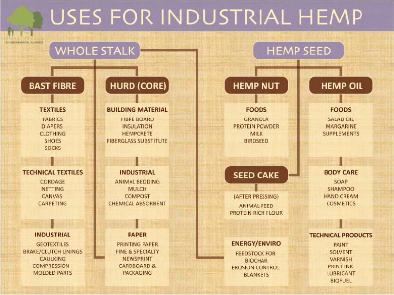 industrial hemp