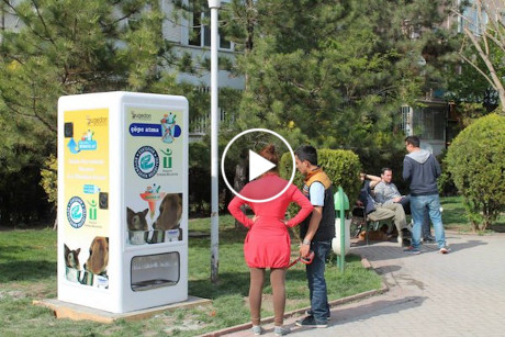 food and water stray dogs in exchange for recycled plastic bottles