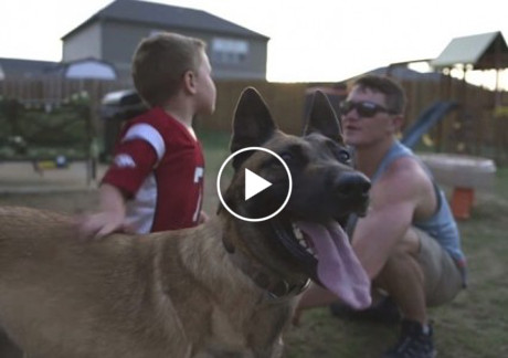 soldier-adopts-dog-that-saved-his-life