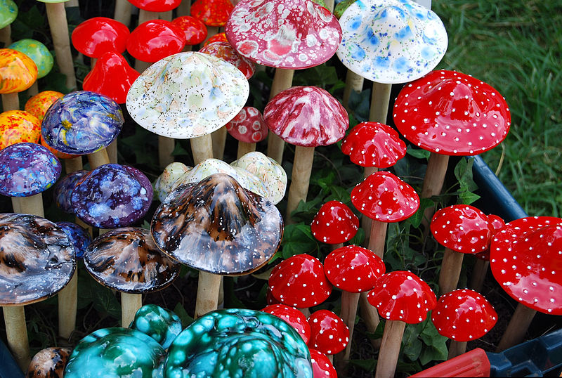 Mushrooms Repair Brain Damage