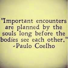 Important_encounters_are_planned_by_the_souls_long_before_the_bodies_see_each_other_paulo_coehlo