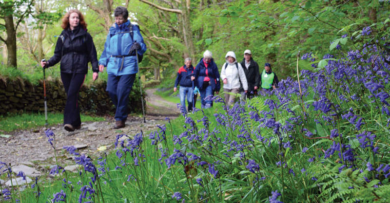 Research Indicates You Should Take Long Walks In The Countryside.