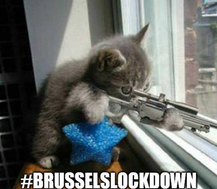 Brussels Lockdown