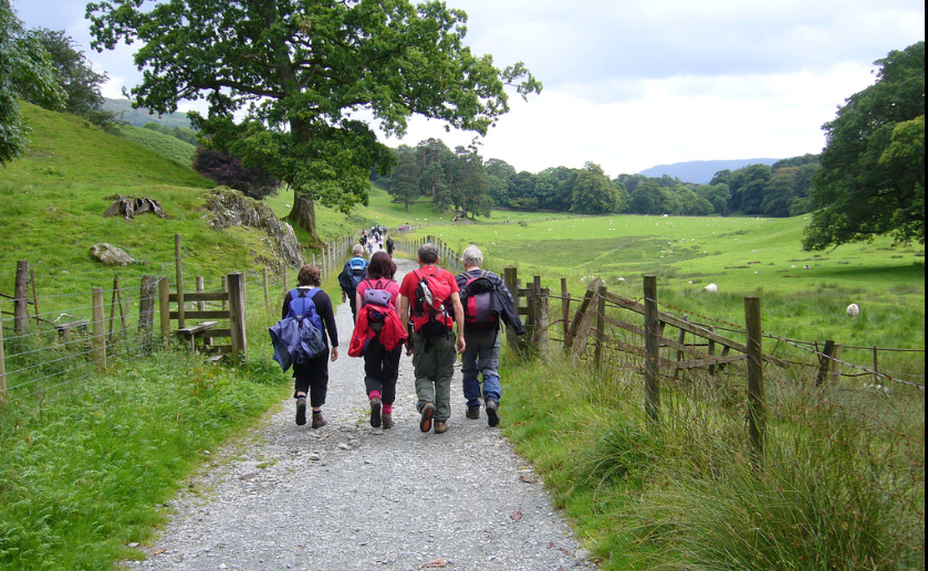 Research Indicates You Should Take Long Walks In The Countryside Research Indicates You Should Take Long Walks In The Countryside