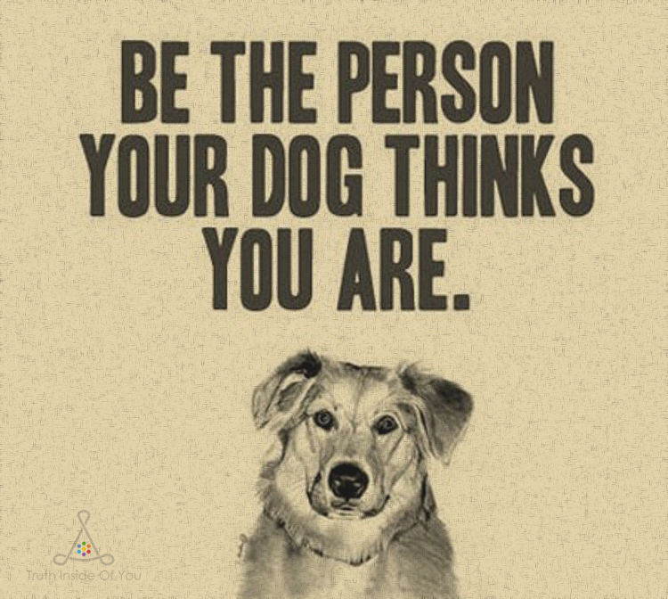 Be the person your dog thinks you are.