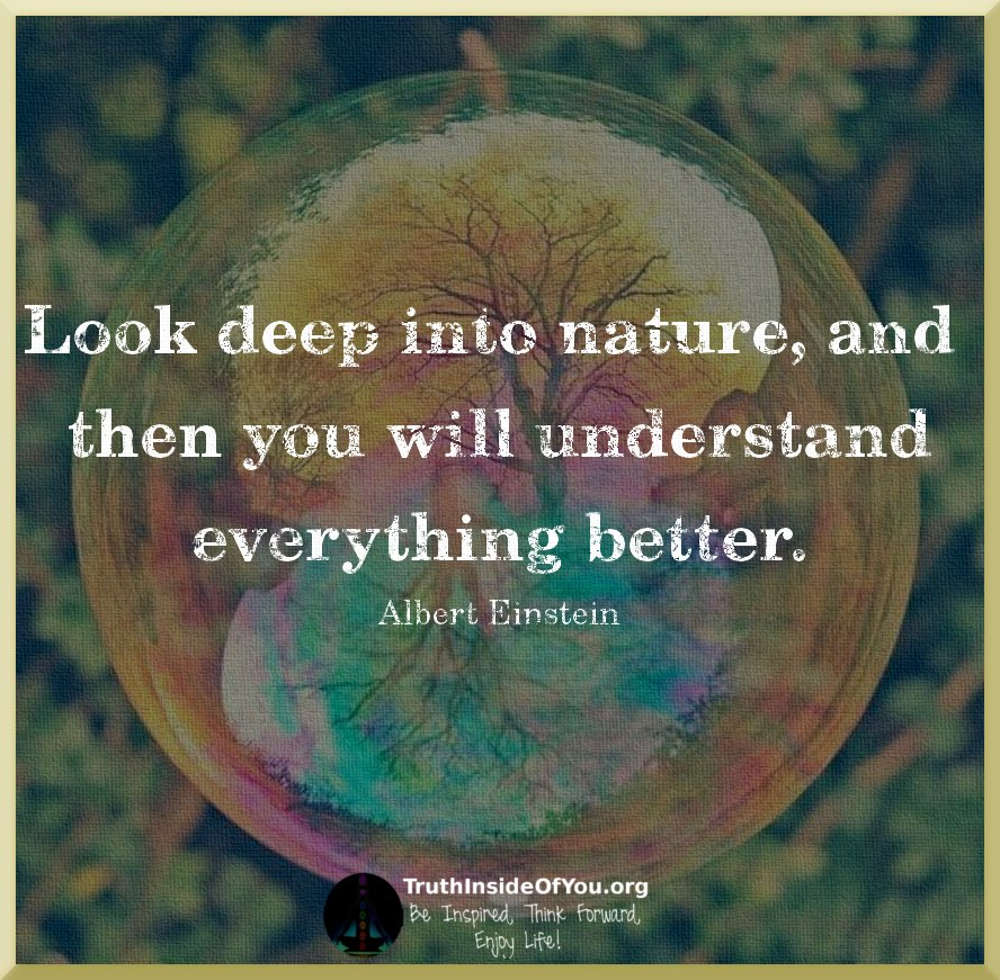 Look deep into nature, and then you will understand everything better. ~ Albert Einstein