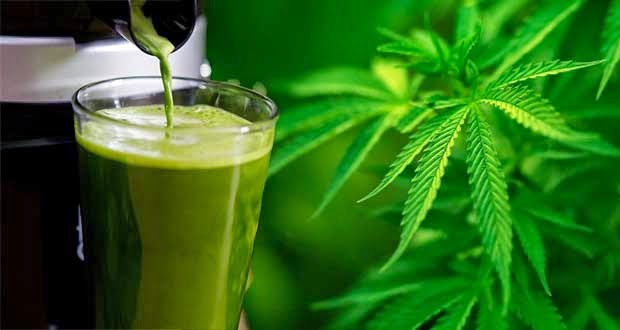 cannabisjuice