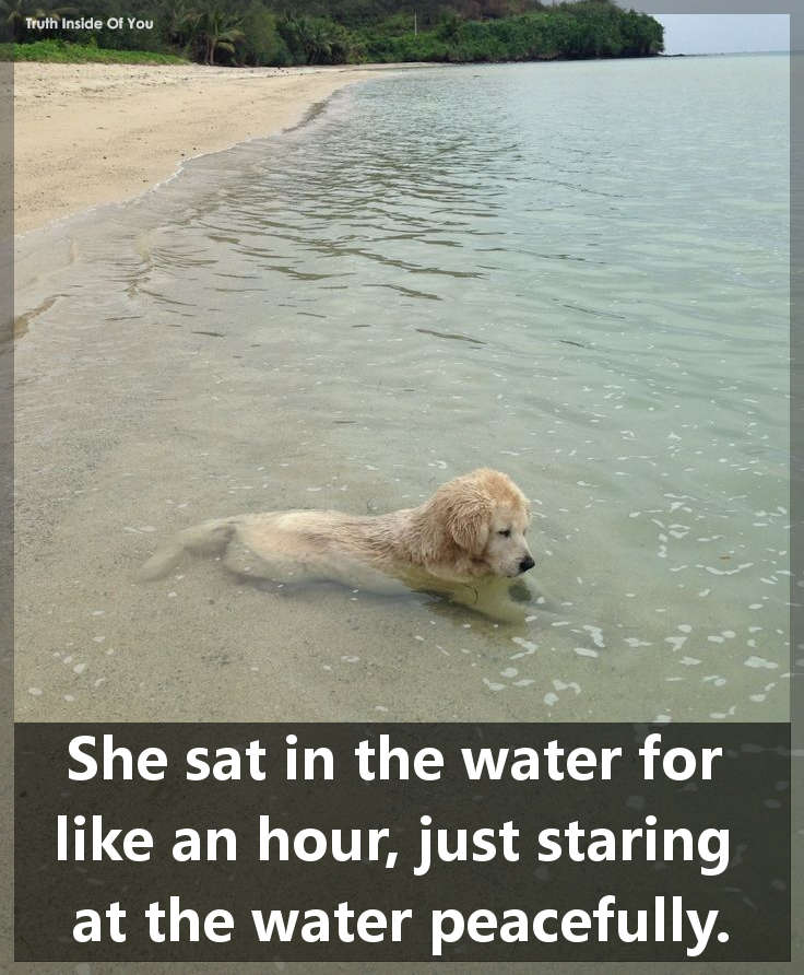 She sat in the water for like an hour, just staring at the water peacefully...