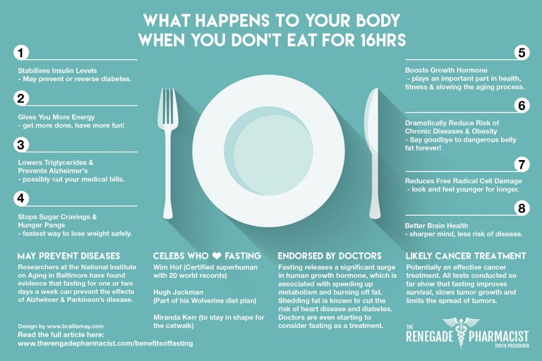 What Happens To Your Body When You Don't Eat For 16 Hours. (Infographic) – Truth Inside Of You