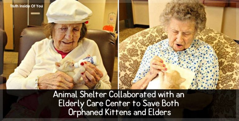 Animal Shelter Collaborated with an Elderly Care Center to Save Both Orphaned Kittens and Elders
