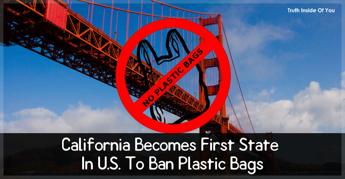 California Becomes First State In U.S. To Ban Plastic Bags