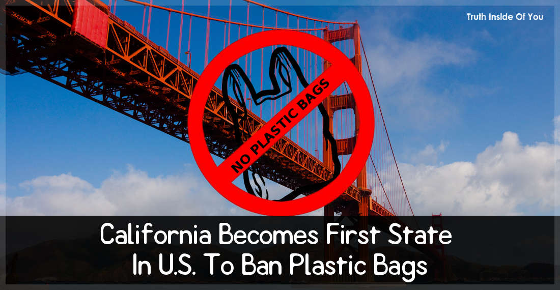 California Becomes First State In U.S. To Ban Plastic Bags