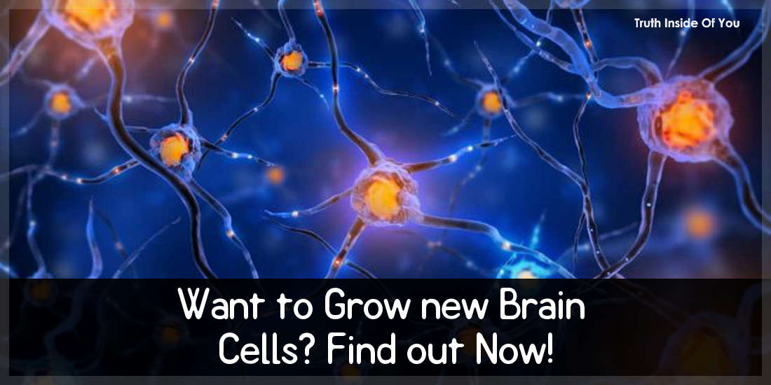 Want To Grow New Brain Cells? Find Out Now!