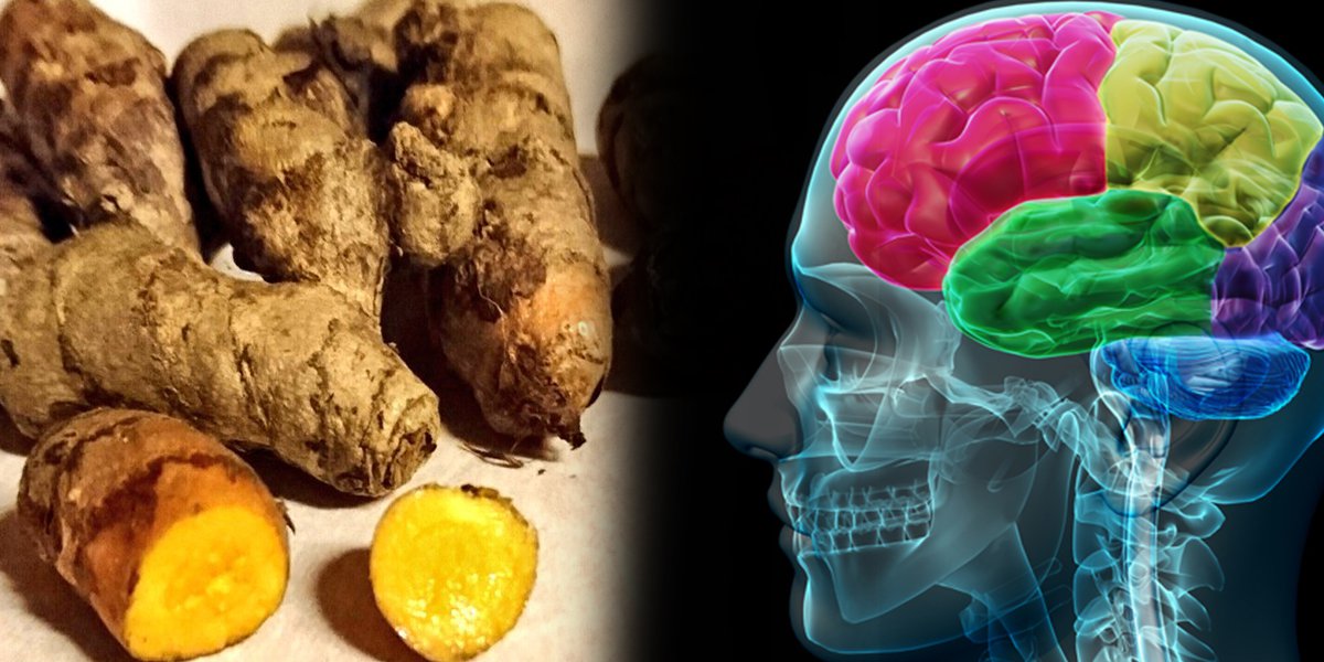 Curcumin Stops Fluoride from Affecting Your Brain.