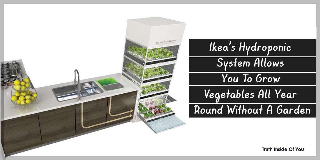 Ikea’s Hydroponic System Allows You To Grow Vegetables All Year Round Without A Garden