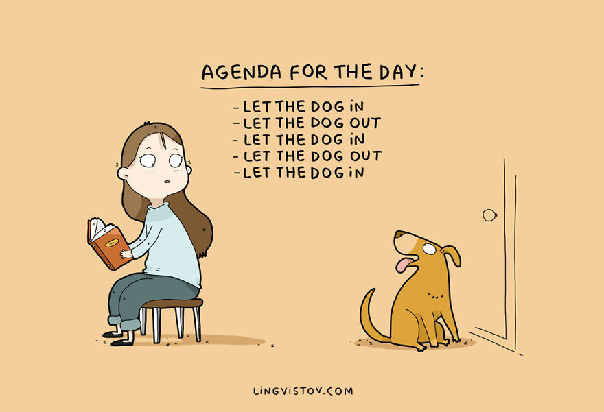 Agenda for the day: Let the dog in, let the dog out, let the dog in, let the dog out, let the dog in, etc.