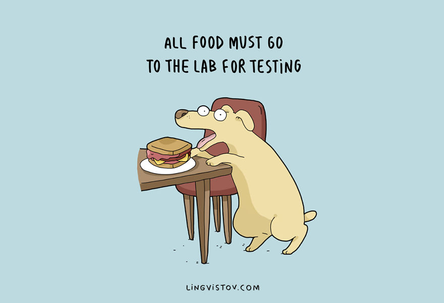 All food must go to the lab for testing.