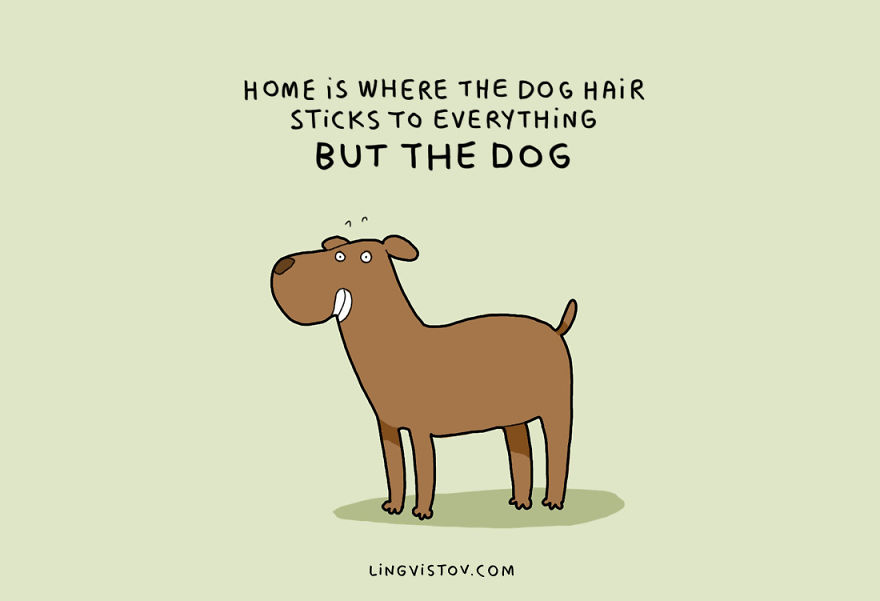 Home is where the dog hair sticks to everything but the dog.