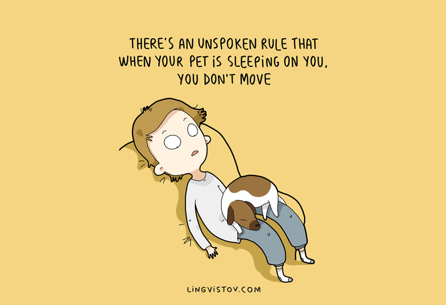 There's an unspoken rule that when your pet is sleeping on you, you don't move.