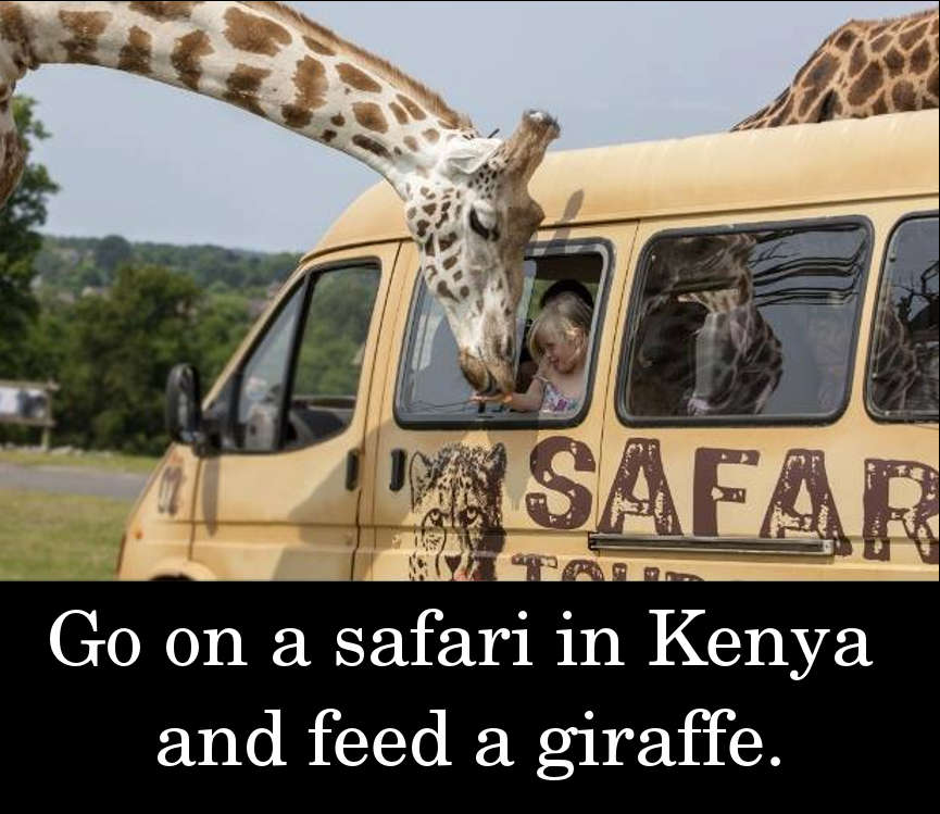 Go on a safari in Kenya and feed a giraffe.