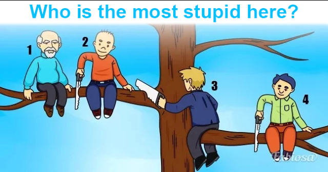 Who Is the Most Stupid