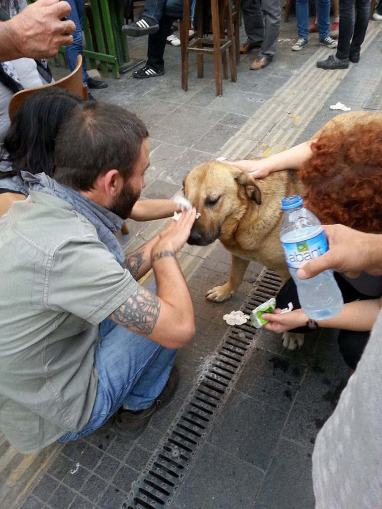 20 Powerful Images That Capture the Strength and Beauty of the Human Spirit.10