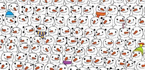 Find the Panda
