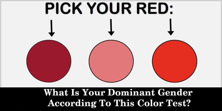 What Is Your Dominant Gender According To This Color Test
