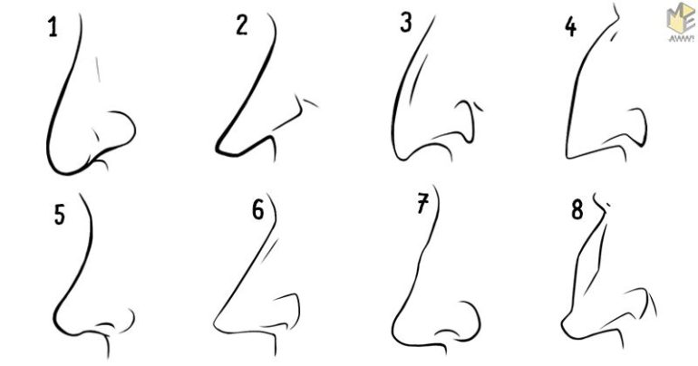 This is what the shape of your nose reveals about your personality