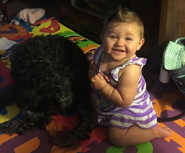 1. This wonderful dog died bravely protecting an 8-month old girl from a house fire.